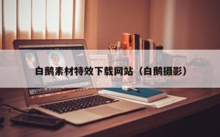 清远白鹅素材特效下载网站（白鹅摄影）